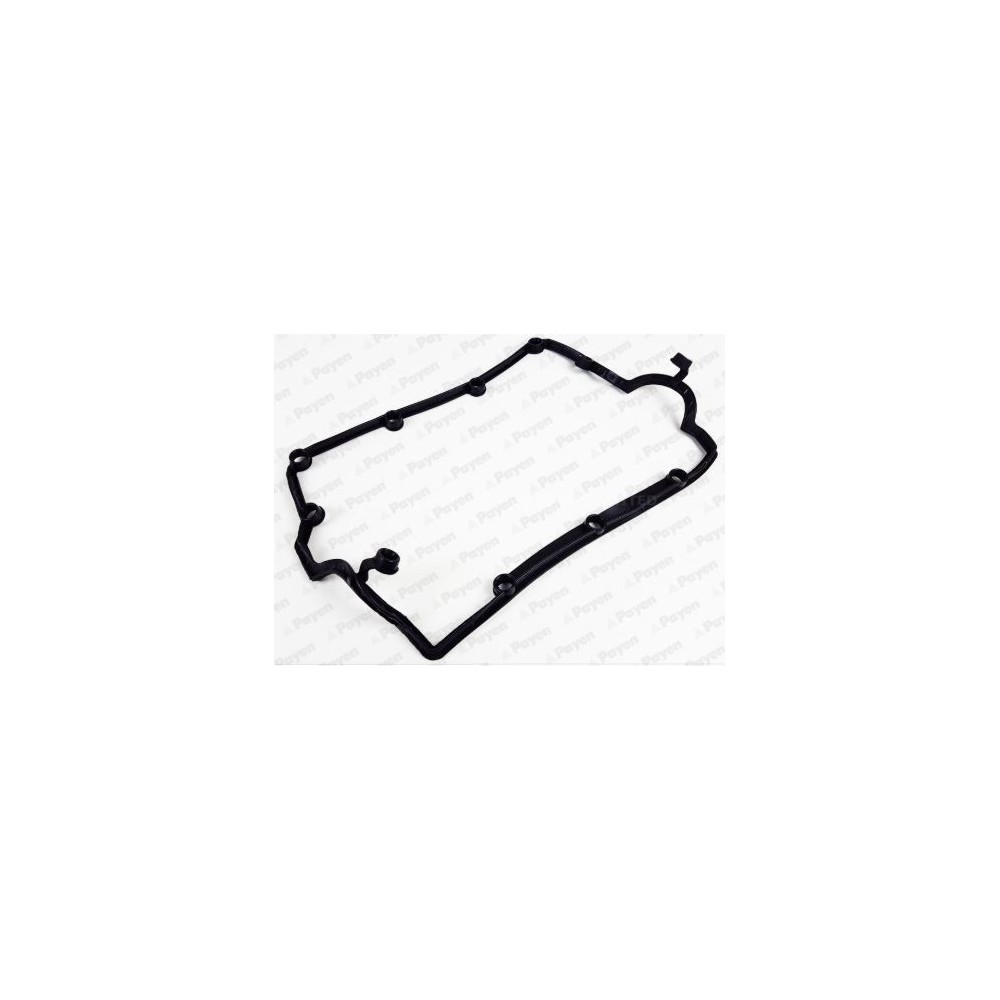 PAYEN Dichtung, Zylinderkopfhaube JM7032
