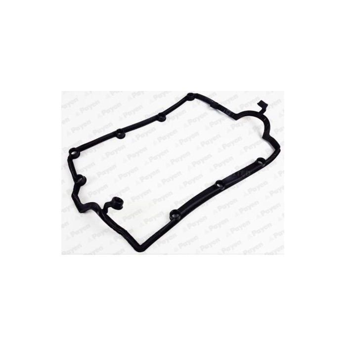 PAYEN Dichtung, Zylinderkopfhaube JM7032