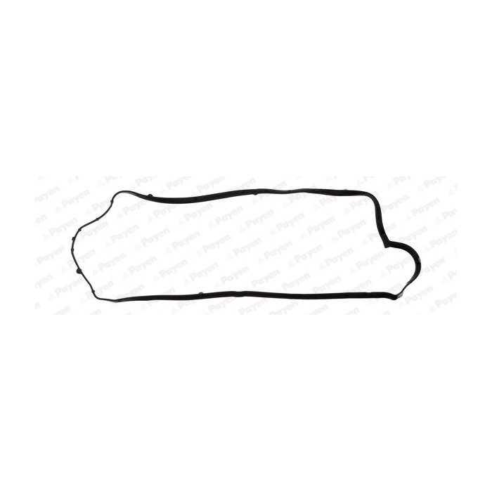 PAYEN Dichtung, Zylinderkopfhaube JM7053