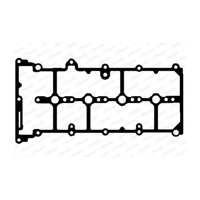 PAYEN Dichtung, Zylinderkopfhaube JM7055