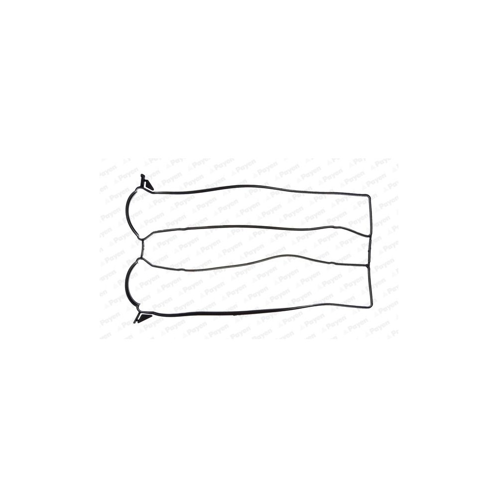 PAYEN Dichtung, Zylinderkopfhaube JM7060