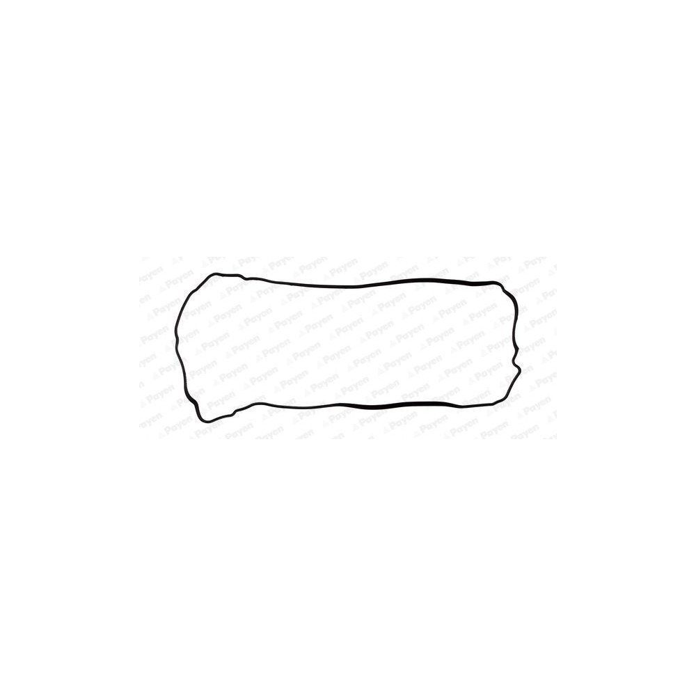 PAYEN Dichtung, Zylinderkopfhaube JM7106