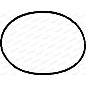 PAYEN Dichtung, Zylinderkopfhaube JN310