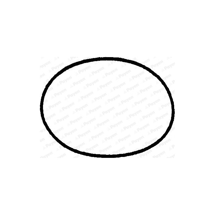 PAYEN Dichtung, Zylinderkopfhaube JN310