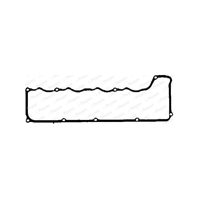 PAYEN Dichtung, Zylinderkopfhaube JN521
