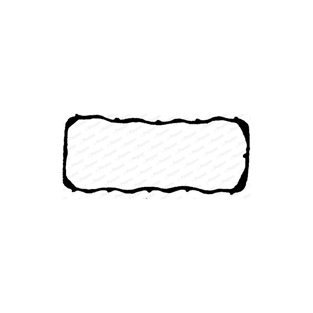 PAYEN Dichtung, Zylinderkopfhaube JN606