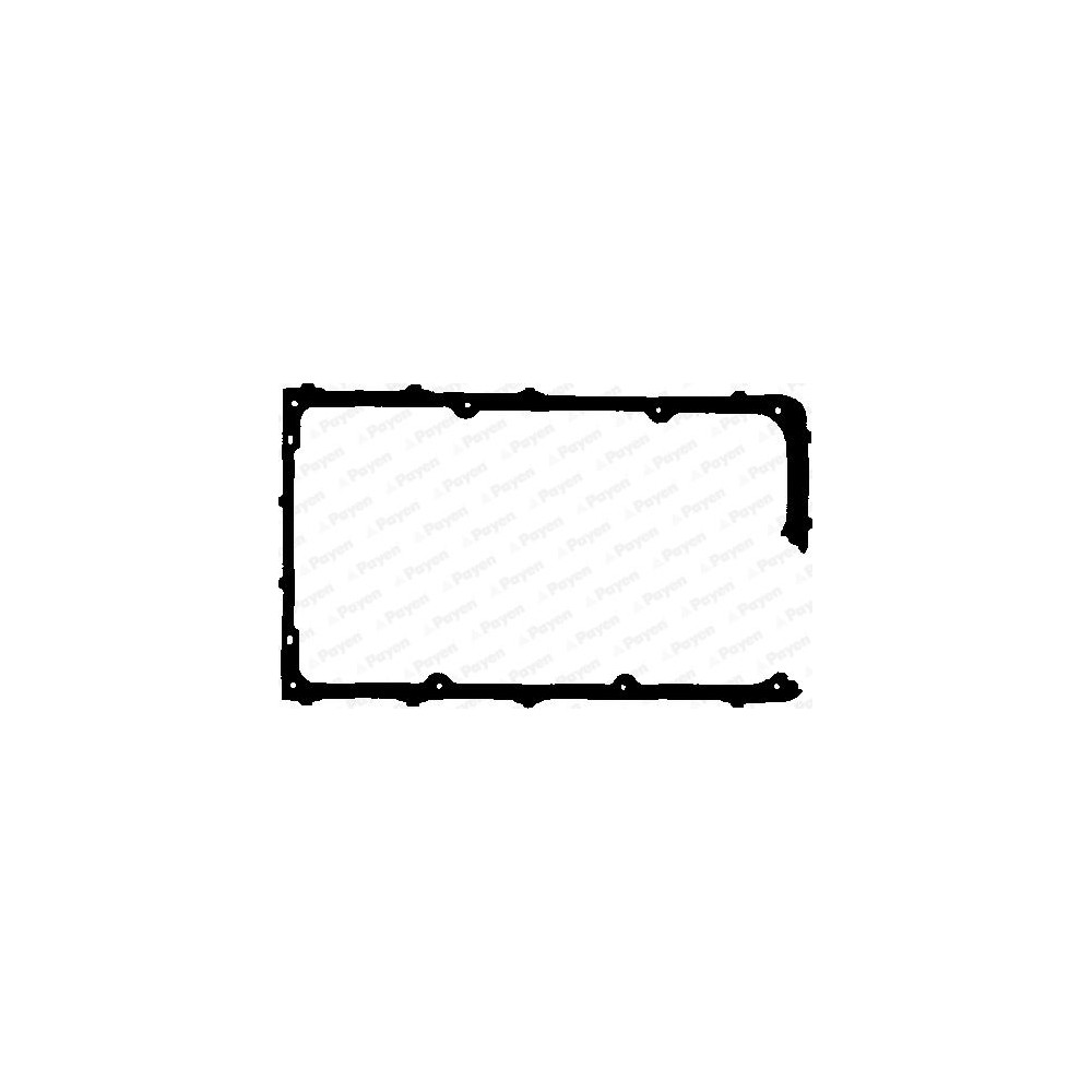 PAYEN Dichtung, Zylinderkopfhaube JN620