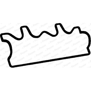 PAYEN Dichtung, Zylinderkopfhaube JN758