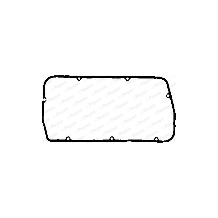 PAYEN Dichtung, Zylinderkopfhaube JN808