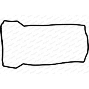 PAYEN Dichtung, Zylinderkopfhaube JN911