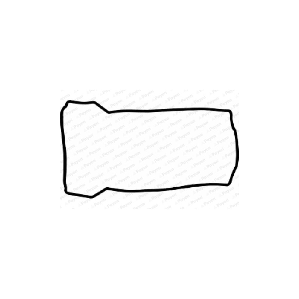 PAYEN Dichtung, Zylinderkopfhaube JN911