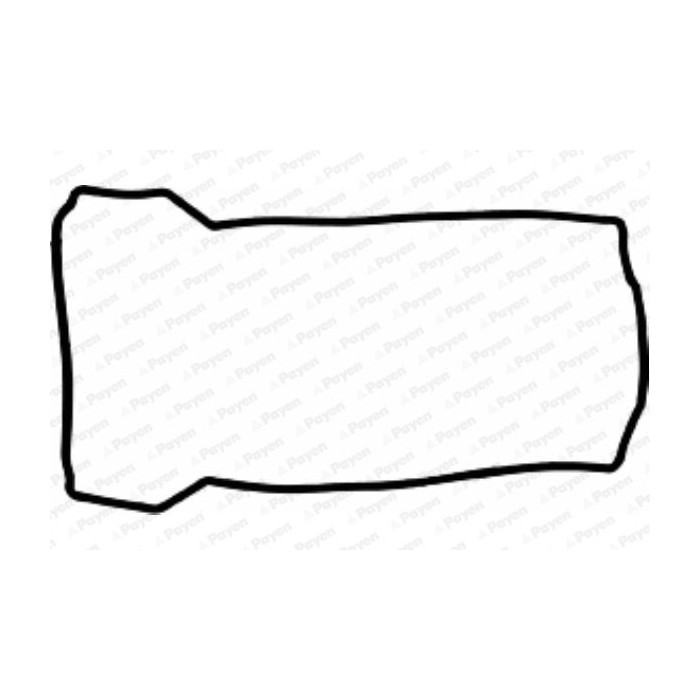 PAYEN Dichtung, Zylinderkopfhaube JN911