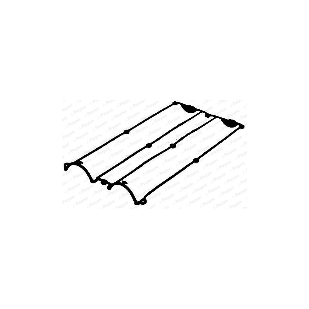 PAYEN Dichtung, Zylinderkopfhaube JN950