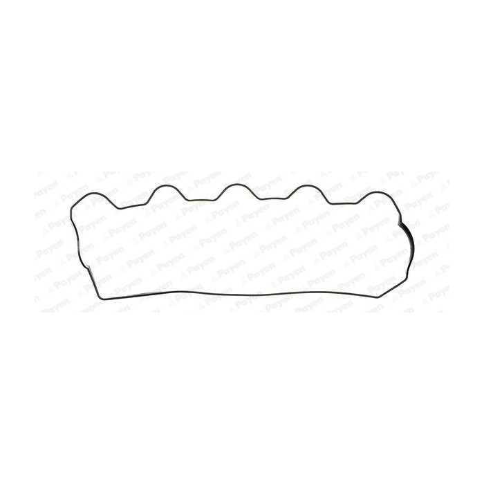 PAYEN Dichtung, Zylinderkopfhaube JP006