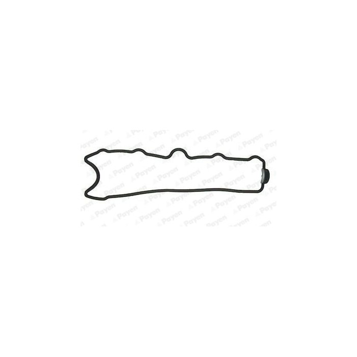 PAYEN Dichtung, Zylinderkopfhaube JP008