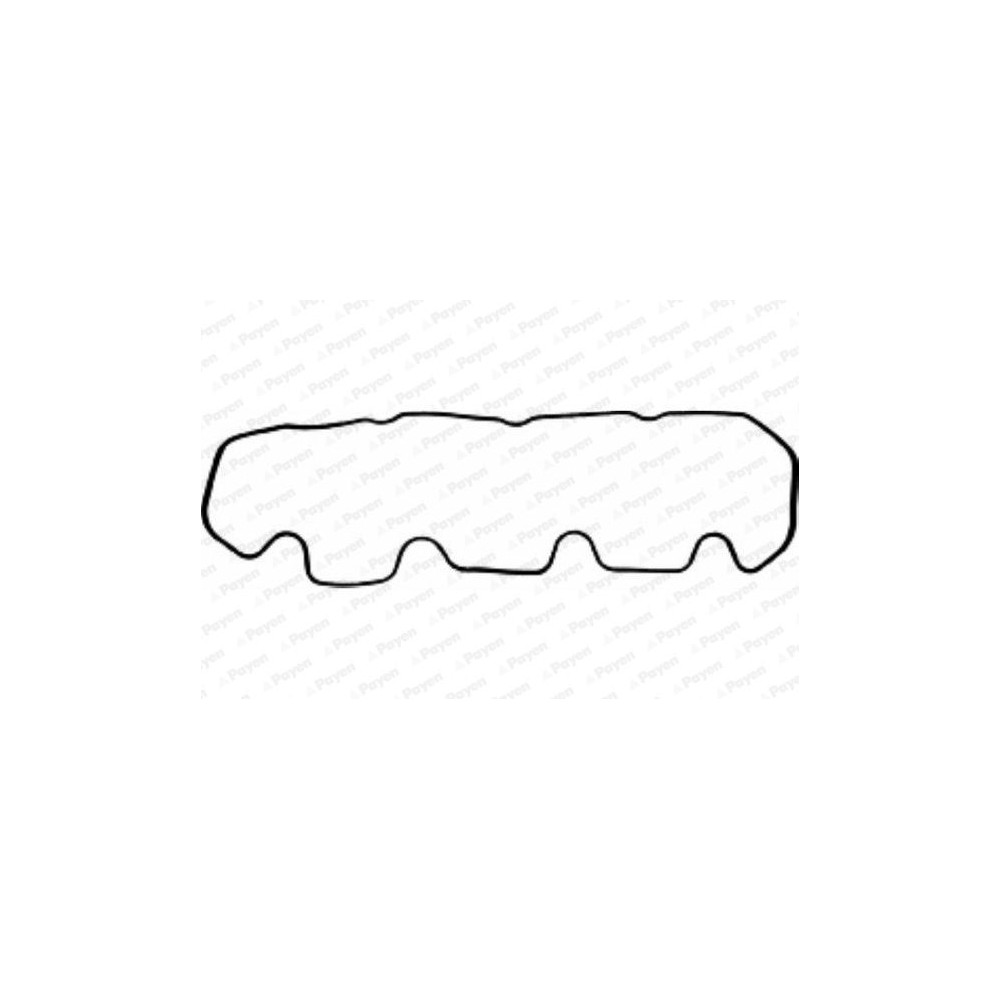 PAYEN Dichtung, Zylinderkopfhaube JP020