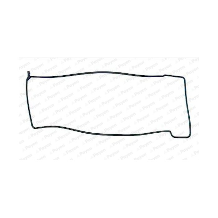 PAYEN Dichtung, Zylinderkopfhaube JP022