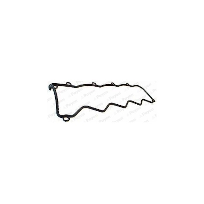 PAYEN Dichtung, Zylinderkopfhaube JP069