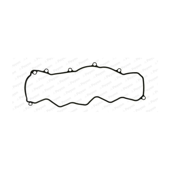 PAYEN Dichtung, Zylinderkopfhaube JP069
