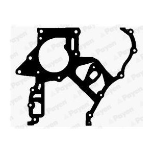 PAYEN Dichtung, Steuergehäuse JR5029