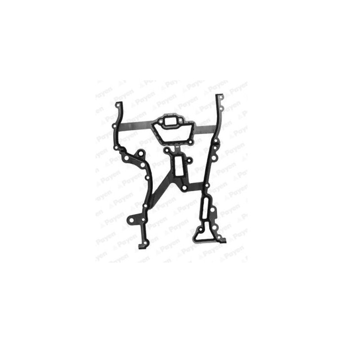 PAYEN Dichtung, Steuergehäuse JR5030