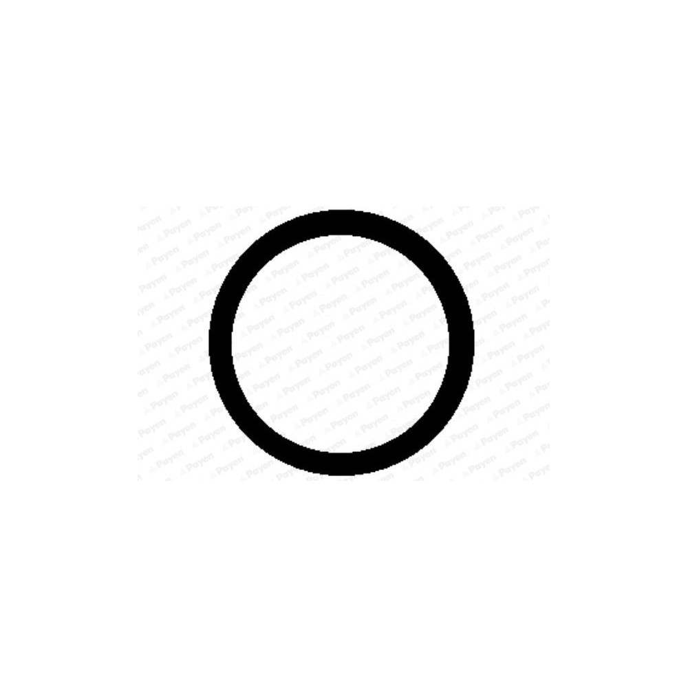 PAYEN Dichtung, Ansaugkrümmer KG5337