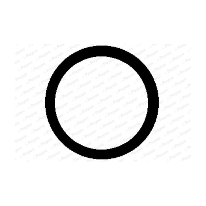 PAYEN Dichtung, Ansaugkrümmer KG5337