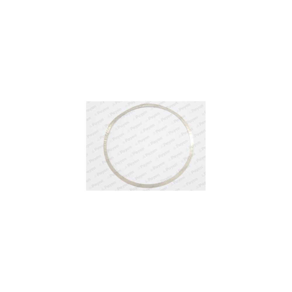 PAYEN Dichtungssatz, Zylinderlaufbuchse KK195