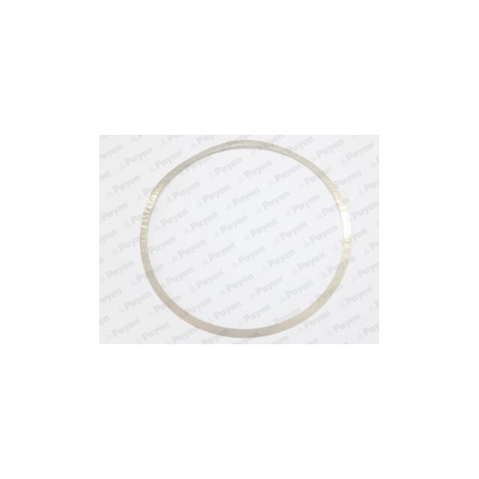 PAYEN Dichtungssatz, Zylinderlaufbuchse KK195