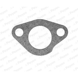 PAYEN Dichtung, Thermostat KS617