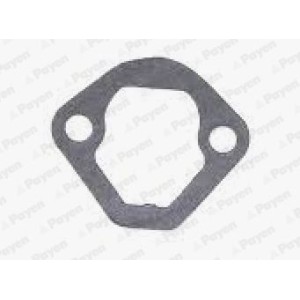 PAYEN Dichtung, Kraftstoffpumpe KS830