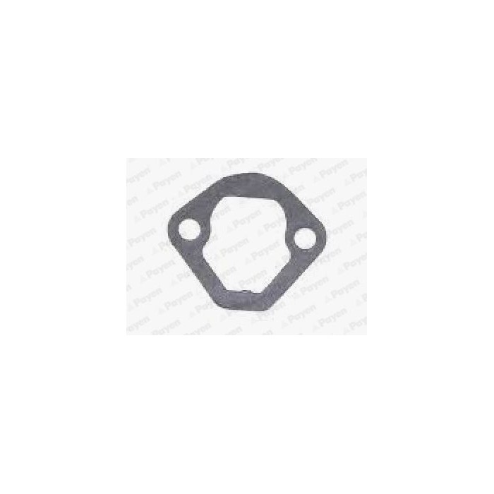 PAYEN Dichtung, Kraftstoffpumpe KS830