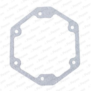 PAYEN Dichtung, Steuergehäuse LS859