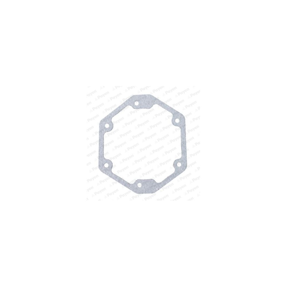 PAYEN Dichtung, Steuergehäuse LS859