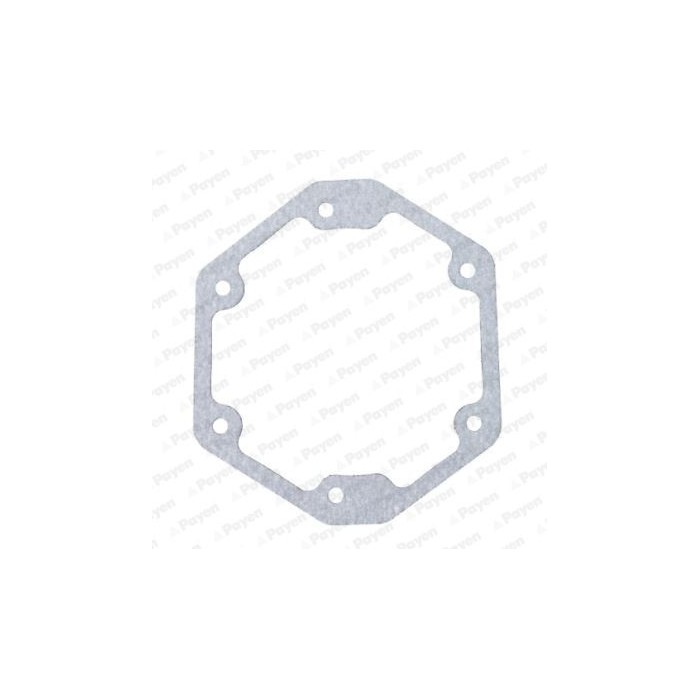 PAYEN Dichtung, Steuergehäuse LS859