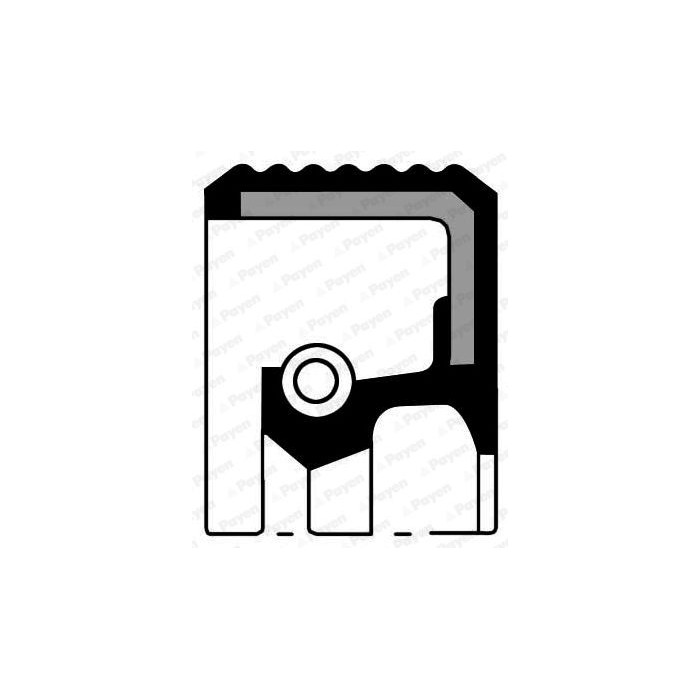 PAYEN Wellendichtring, Kurbelwelle NA5118