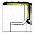 PAYEN Wellendichtring, Kurbelwelle NA5230