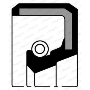 PAYEN Wellendichtring, Kurbelwelle NB460