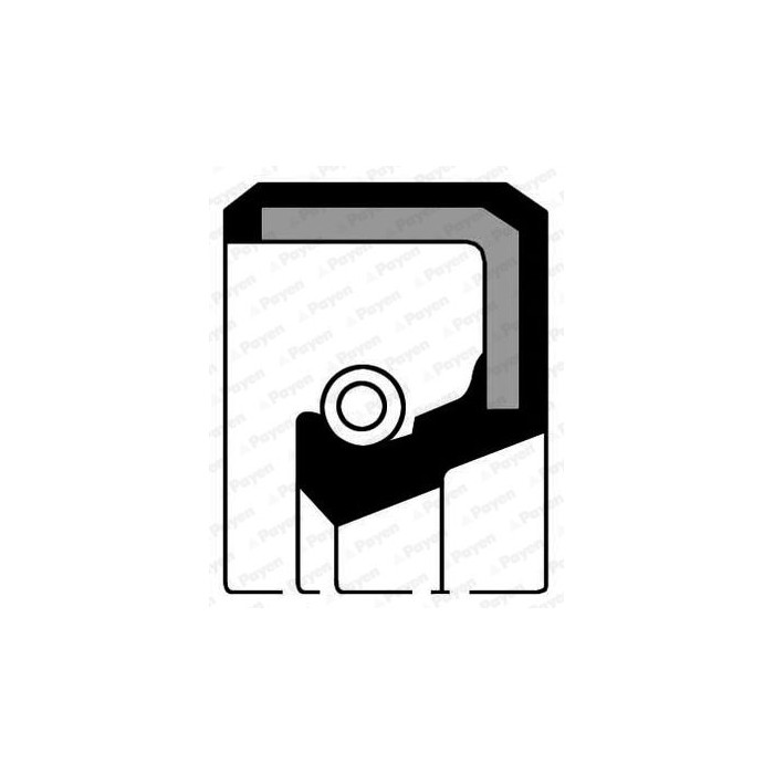 PAYEN Wellendichtring, Kurbelwelle NB460