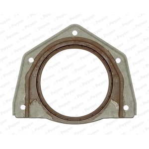 PAYEN Wellendichtring, Kurbelwelle NF888