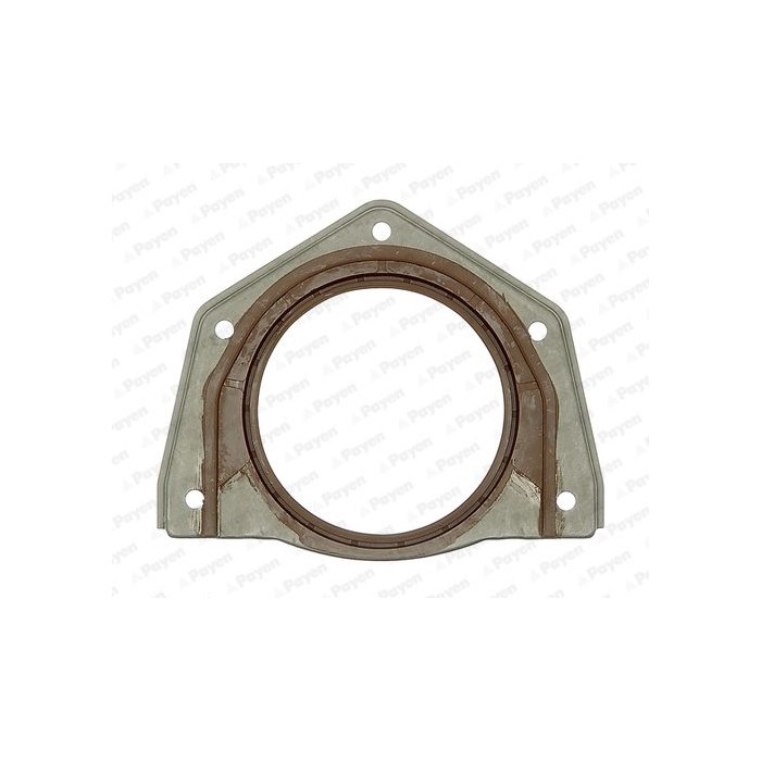 PAYEN Wellendichtring, Kurbelwelle NF888
