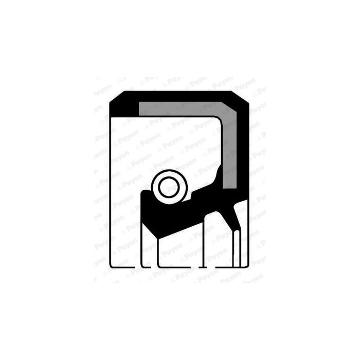 PAYEN Wellendichtring, Kurbelwelle NJ251