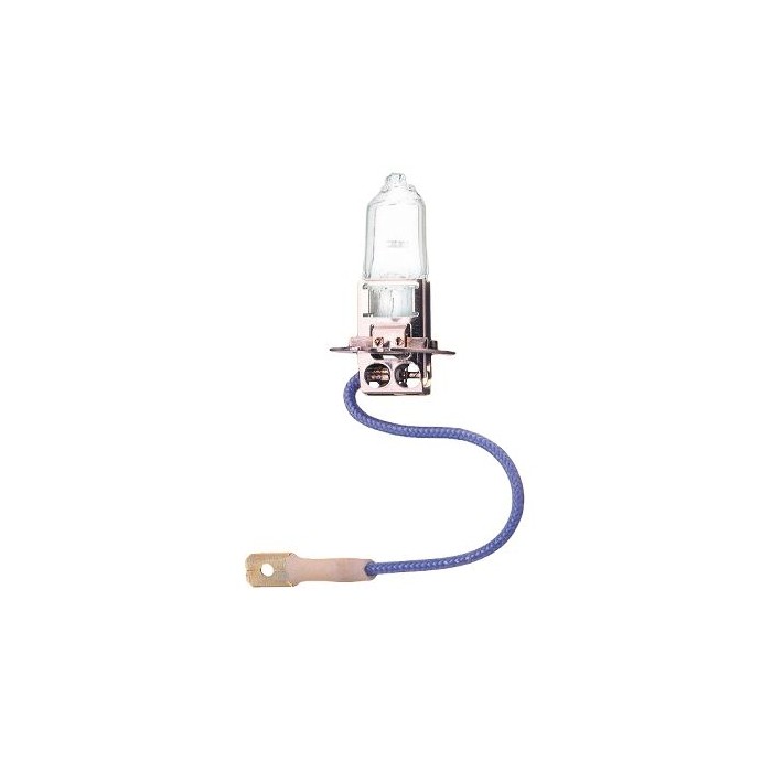 PHILIPS LongLife EcoVision Glühlampe 12336LLECOC1