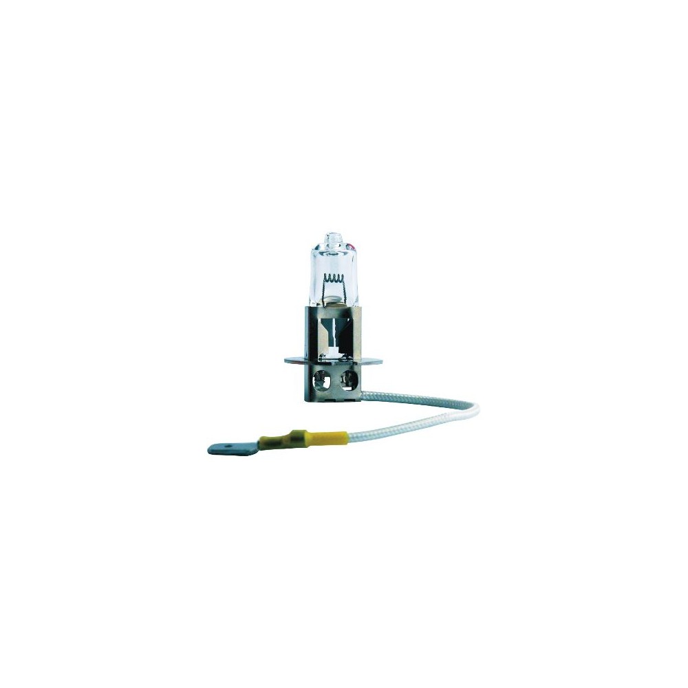 PHILIPS MasterDuty Glühlampe 13336MDC1