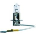 PHILIPS MasterDuty Glühlampe 13336MDC1