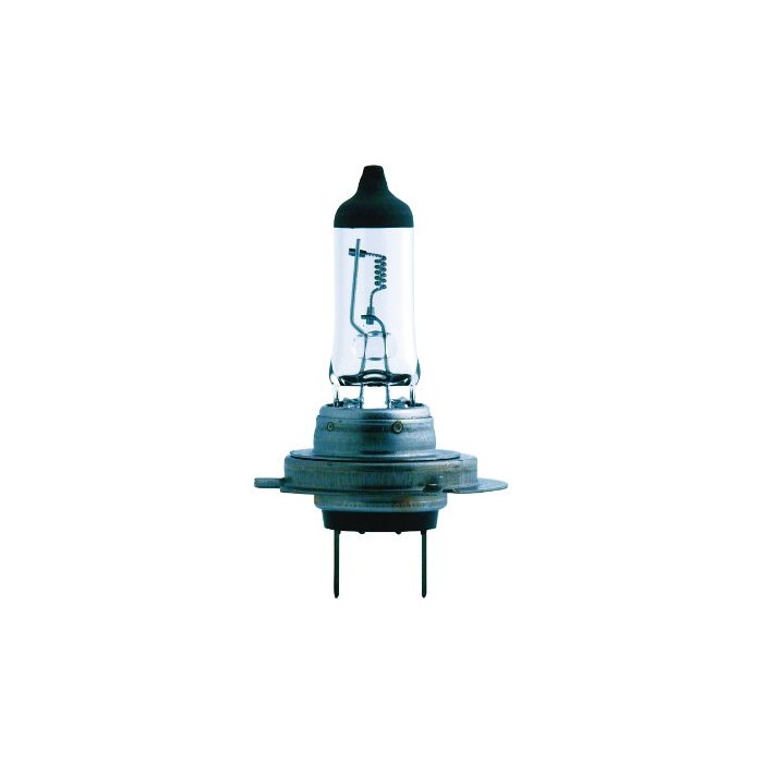PHILIPS MasterDuty Glühlampe 13972MDC1