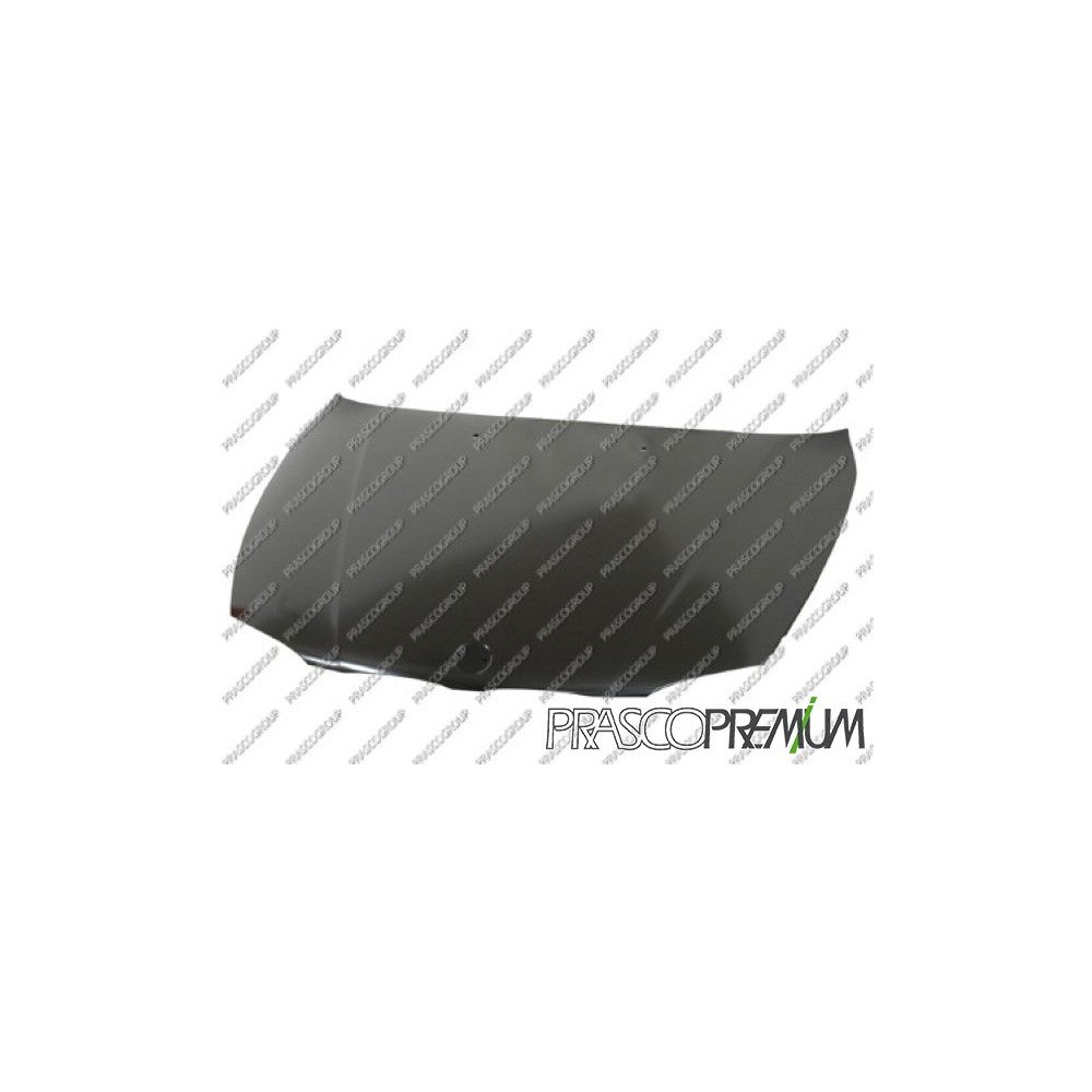 PRASCO Premium Motorhaube BM1203100