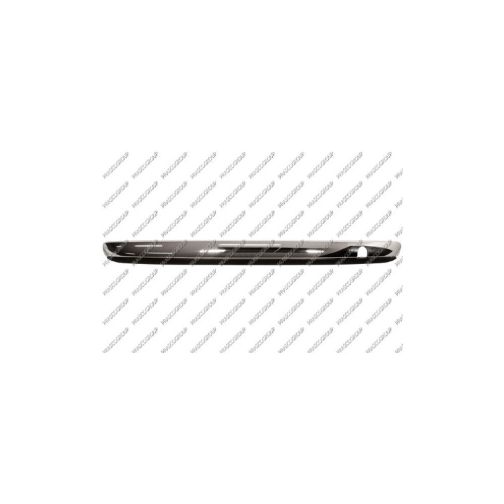 PRASCO Premium Zier-/Schutzleiste, Stoßfänger FT0301250