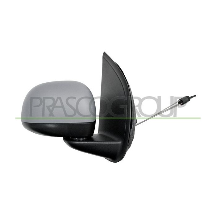 PRASCO Außenspiegel FT1247013