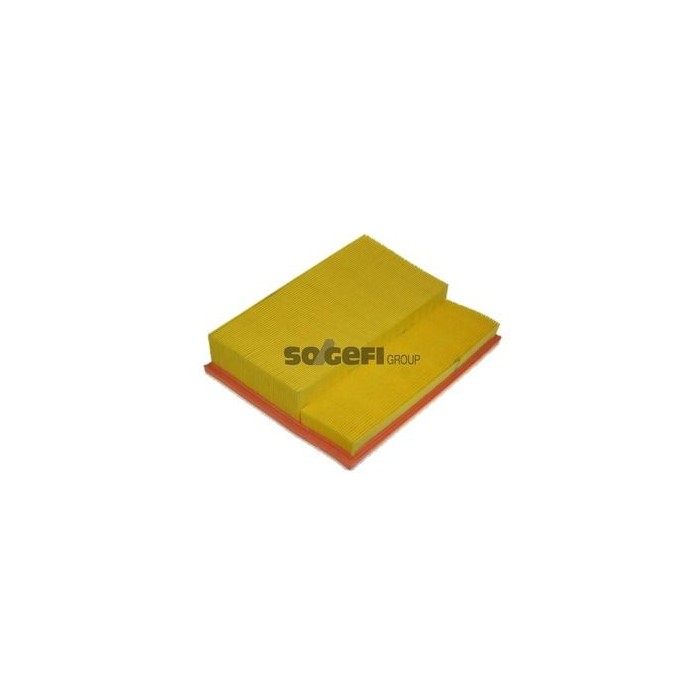 PURFLUX Luftfilter A1049